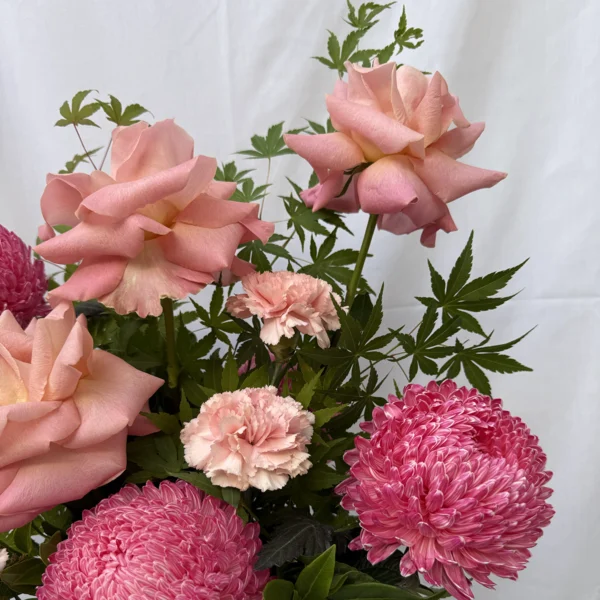 blush of love 2
