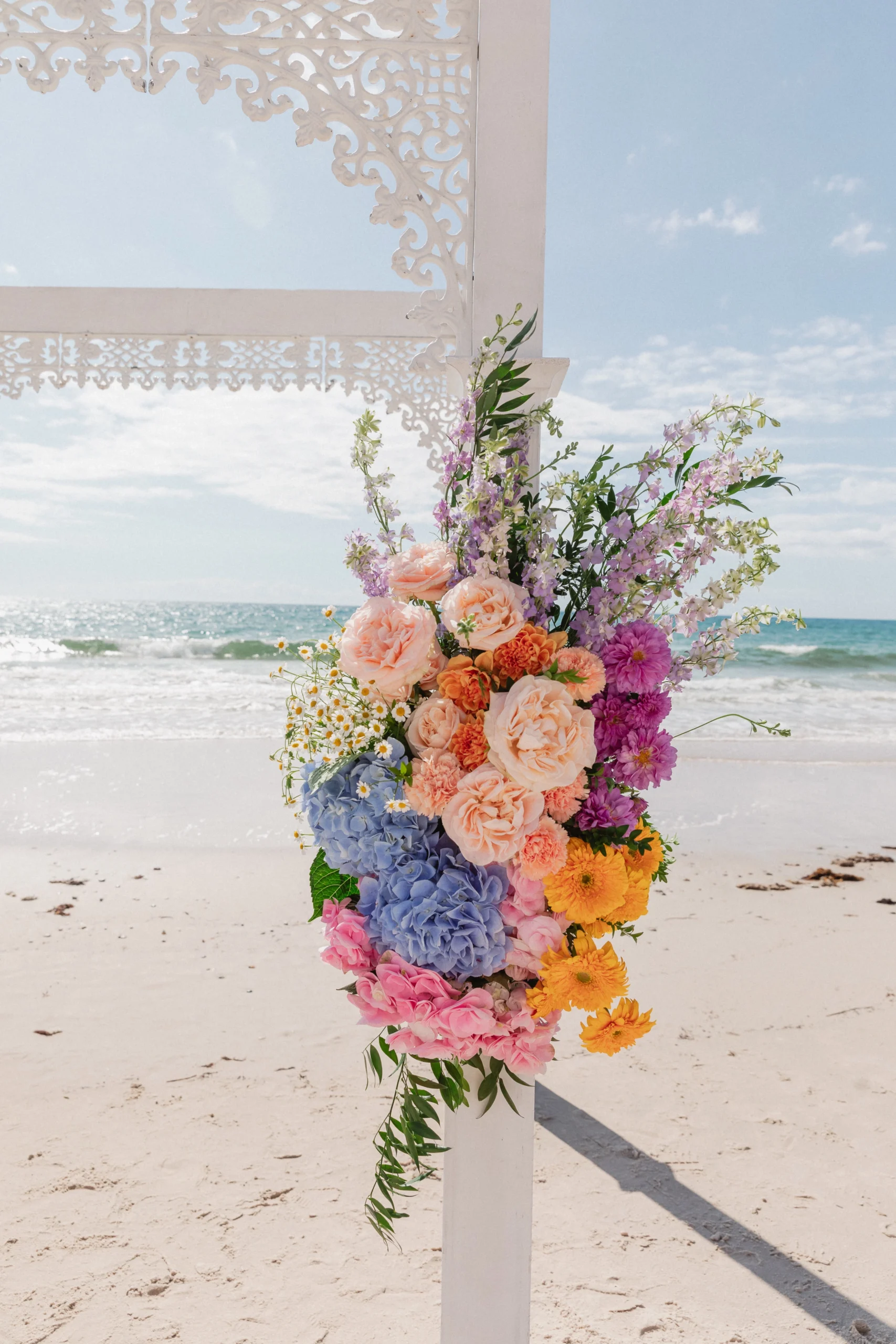 portfolio-details-pic1